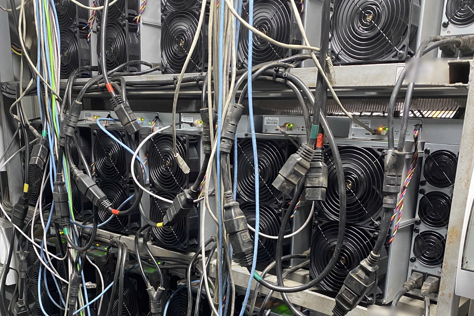 Плотная компоновка ASIC в стойках контейнерного модуля: силовые и сетевые линии по каждому устройству